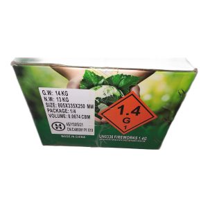 Tichý ohňostroj Peacefull show time 169 ran CPB2020